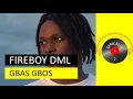 Fireboy DML - Gbas gbos (Lyrics Video)