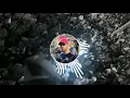 MC Menor Da VG - Fazendo O Recolhe (DJ Mial DJ Sati Marconex e DJ TC)