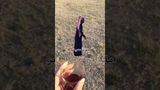 ترند على الهادي على الهادي جابوة في كل مكان حتى في المطبخ 