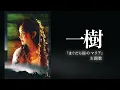 一樹【フル】（特集ドラマ「まぐだら屋のマリア」主題歌） (中島みゆき)[歌ってみた] {ピコピコぱんだ} 【Cover/カバー】