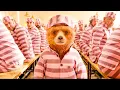 Download Lagu Um URSO inocente consegue DOMINAR a PRISÃO mais BRUTAL do MUNDO em menos de 24 HORAS - RECAP