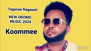 Taganee Nagaash New Oromo Music 2024 Ayyaantuutoo 