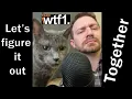WTF Happened to WTF1