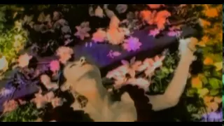 Mecano - Una Rosa Es una Rosa (Videoclip)