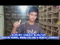 Download Lagu SURVEY HARGA TRUCUK KERBO, BRINJI KELABU, TLEDEKAN BIRU DAN BURCIL LAINNYA..KIOS BEJO