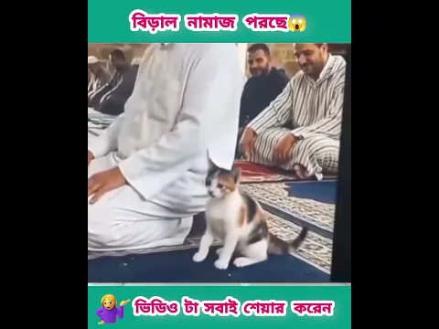 😮বিড়াল তার মালিকের সঙ্গে নামাজ আদায় করছে😱 #shorts