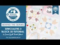 LIVE Sewcialites 3 Block 25 Demo Coven Quilt Trunk Show What s New at FQS - Behind the Seams