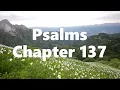 The Book of Psalms Chapter 137 - New King James Version NKJV