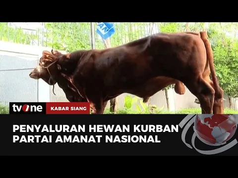 PAN Salurkan 12 Ekor Sapi dan Ratusan Kambing di Jakarta