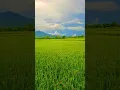 Download Lagu #dj #music #shortvideo #entertainment #คลายเครียด #nature #thailand #farming #show