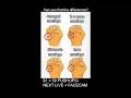 Only 0 1 Can Find the Differences in 20 Seconds Live Brain Challenge Portrait