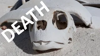 We’re LOST as we Sail Around The World- Adventure 42