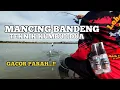 Mancing Bandeng Empang Udin Pamarican