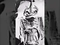 VRIL LIZARD