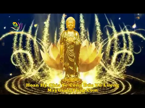 Download MP3 Nhạc niệm Phật HAY NHẤT (bản HD hơn 5h)  Đạo Tràng Phước Ngọc