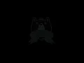 Lil Flip - The Way We Ball (Crizzly Remix)
