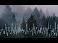 Shadow People and the Hat Man - Bell Midnight