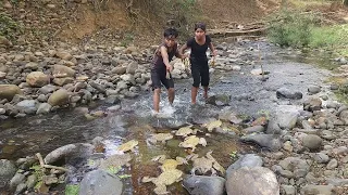 Survival skills: Catch frog in river for survival food, Spicy frog cooking for eating delicious