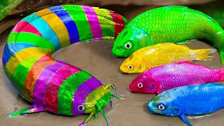 Cartoon Stop Motion ASMR Believe This Fishing Big Red Fish Carp Eel Videos Mudfish Cooking 