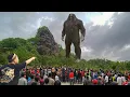 Download Lagu Pertanda apal.!? setelah puluhan tahun menghilang, raksasa hitam muncul lagi di jawa timur