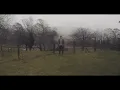 Foy Vance - A Prelude to The Wild DeTour