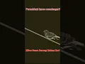 Download Lagu Mitos di Tanah Jawa : Suara burung malam hari pertanda apa? #shorts