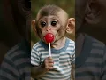 Download Lagu Baby Monkey Tastes a Lollipop… Then Bursts Into Laughter! 🍭😂