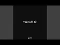 Married Life From Up