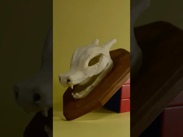 Charizard Skull Hanging : Pokemon Charizard Skull video thumbnail