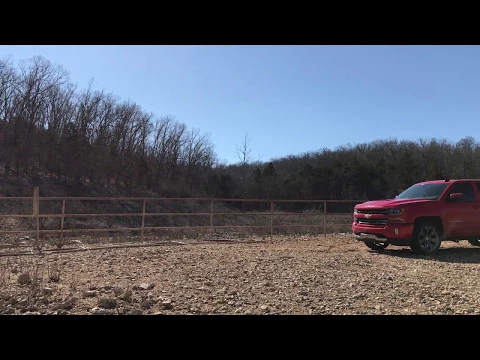 The trail to State Line Cove (plus wild turkeys!) on Bull Shoals Lake