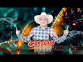 Download Lagu DJ TOM NO LANÇAMENTO DO NO NOVO CARABAO O MÁXIMO
