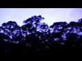 Enola Gay - Losing to Berlin (Official Music Video)