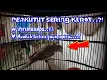 Download Lagu Tanda kenapa perkutut kerot