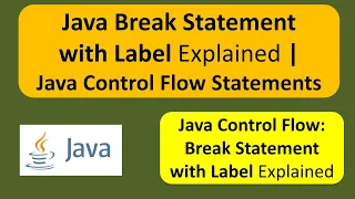 Java Break Statement with Label Explained Java Control Flow Statements