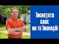 Download Lagu CEA MAI BUNĂ ÎNGHEȚATĂ, FĂRĂ ZAHĂR, FĂRĂ FRIȘCĂ, FĂRĂ SMÂNTÂNĂ!