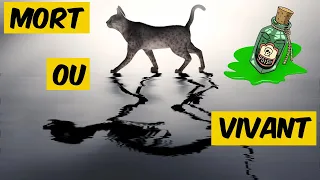Chat de Schrödinger : Vraiment à la fois mort et vivant ?