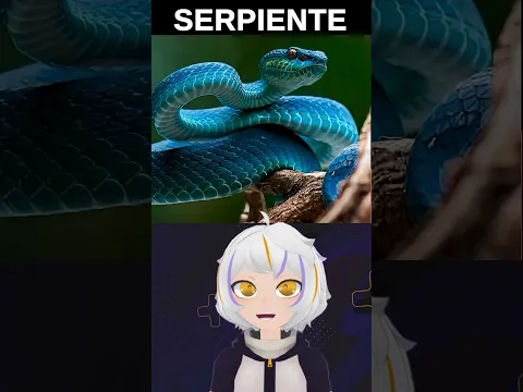 Asi Ven los Animales