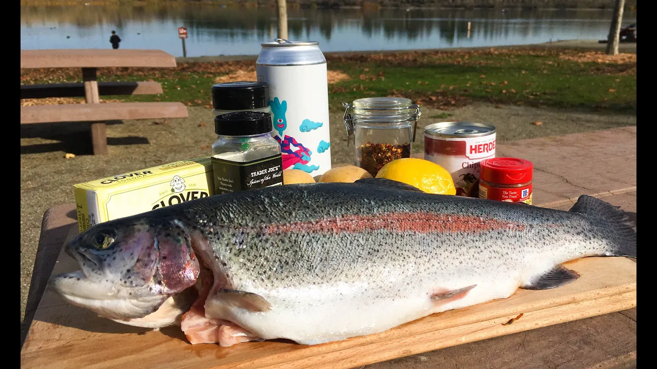 MOST DELICIOUS TROUT CATCH AND COOK   Fresh Water Fishing