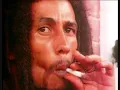Bob Marley and The Wailers - Top Ranking (1979 Demo)