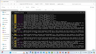 Fix Could not find the angular--angular dev-server builder s node package Angular