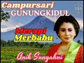Langgam Merapi Merbabu - Aniek Sunyahni Ratu Campursari Gunung Kidul CSGK Manthous