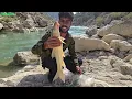 🎣 You Won’t Believe What I Caught Today! 😱 | Fishing in a Wild Mountain River 🐟🌊