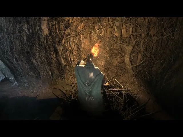 Dark Souls II NG+1