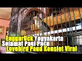 Download Lagu Selamat Pagi Pace ! Lovebird Paud Konslet Viral EnggarUck
