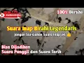 Download Lagu SUARA INAP Anti Zonk Karakter Birahinya Bikin Walet Cepat Bersarang ‼️ Suara Inap Dari RBW Sukses
