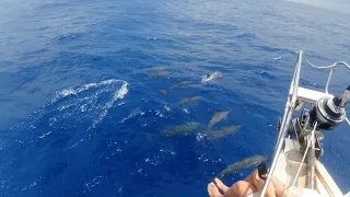 With hitchhikers on board back to Fakarava – EP 149 Sailing Seatramp