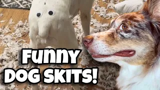 Mischievous Dog Skit Compilation | Funny Relatable Dog Videos | Shorts 