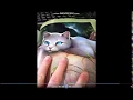 Showing my Warrior cat ultimate Guide