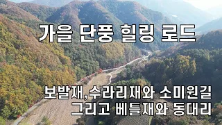단양과 영월의 가을 단풍 힐링로드 썸네일