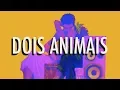 Download Lagu Nação Zumbi - Dois Animais na Selva Suja da Rua - Video Lyrics - Radiola NZ Vol1